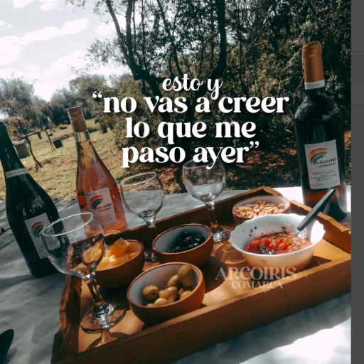 Vino Malbec Roble