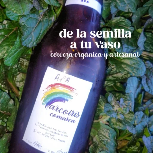 CERVEZA ARTESANAL HONEY MARACUYA