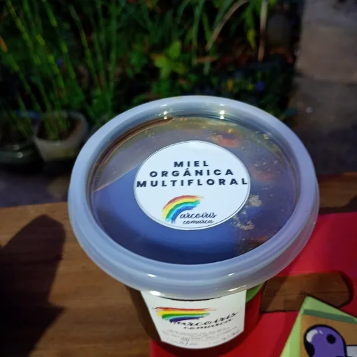 MIEL de MONTE NATIVO AGROECOLÓGICO - imagen 2