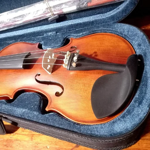 Violín Stradella Mv141344 4/4 Estudio + Accesorios - imagen 4
