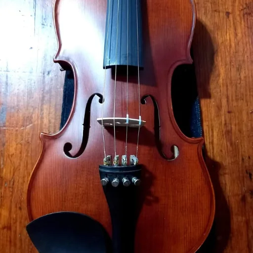 Violín Stradella Mv141344 4/4 Estudio + Accesorios