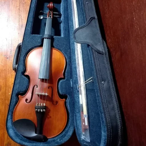 Violín Stradella Mv141344 4/4 Estudio + Accesorios