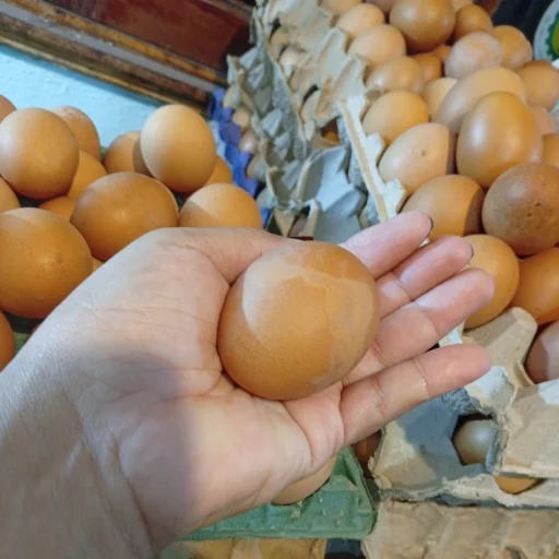 Huevos  Caseros