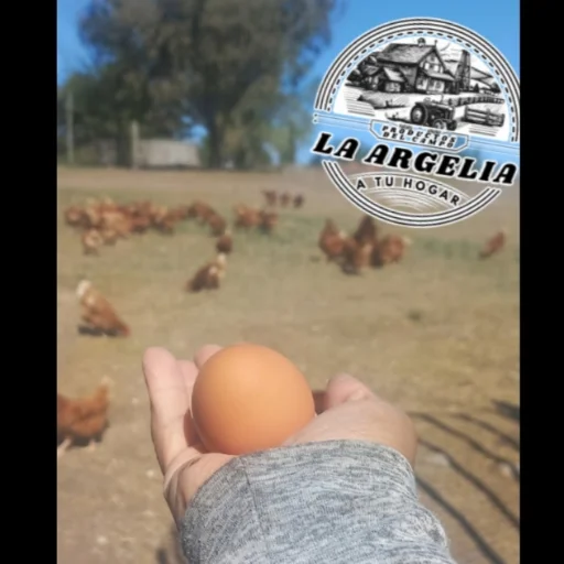 Huevos  Caseros