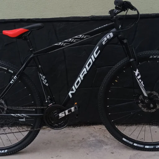 Biciclera Rodado 29 Nordic x01
