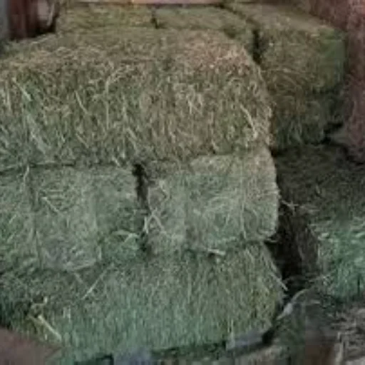 Fardo de pasto