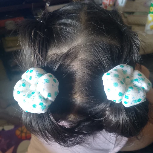 Accesorios para el pelo