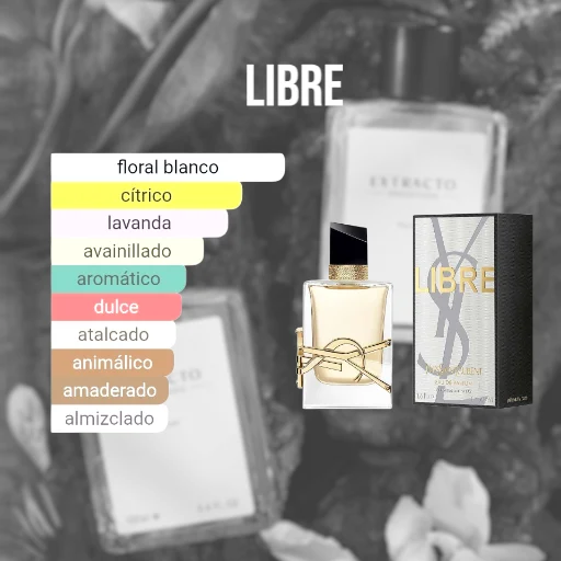 Perfume EXTRACTO IMPORTADO x 100ML (Fragancias Femeninas) Ver Descripción - imagen 2