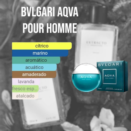 Perfume EXTRACTO IMPORTADO x 100ml (Fragancias Masculinas) Ver Descripción - imagen 7