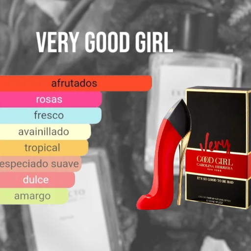 Perfume EXTRACTO IMPORTADO x 100ML (Fragancias Femeninas) Ver Descripción - imagen 5