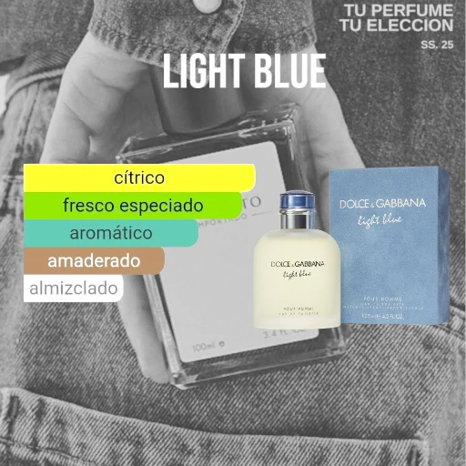 Perfume EXTRACTO IMPORTADO x 100ml (Fragancias Masculinas) Ver Descripción - imagen 9