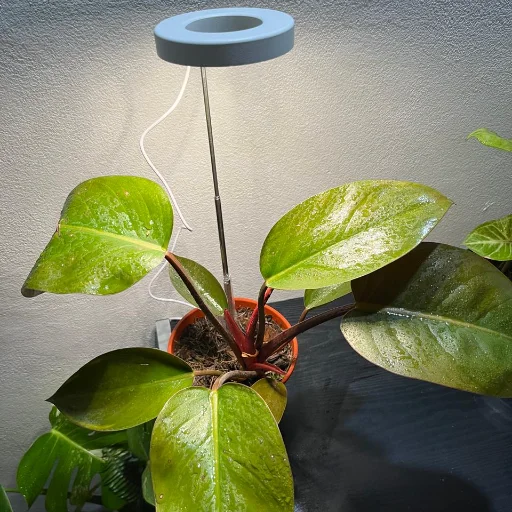 Lámpara Led de crecimiento - imagen 2