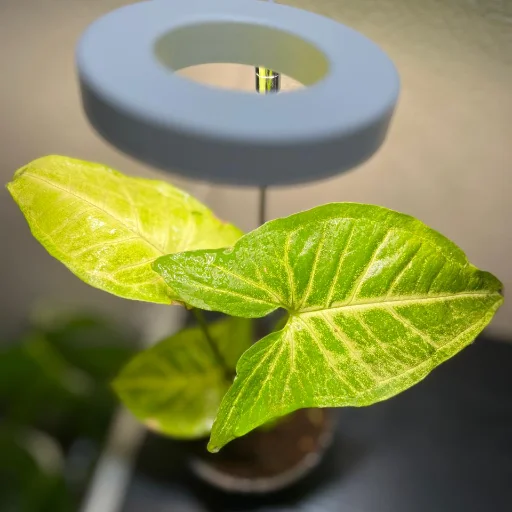 Lámpara Led de crecimiento - imagen 3