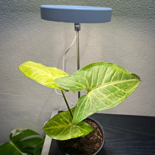 Lámpara Led de crecimiento - imagen 4