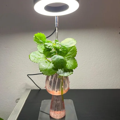 Lámpara Led de crecimiento con base - imagen 2