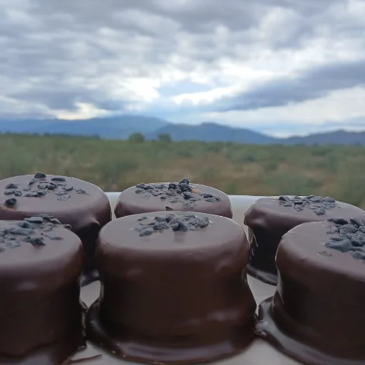 Variedad en alfajores - imagen 4