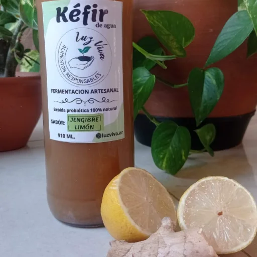 KEFIR DE JENGIBRE Y LIMON