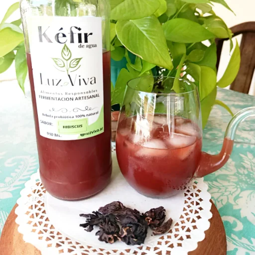 KEFIR DE HIBISUS