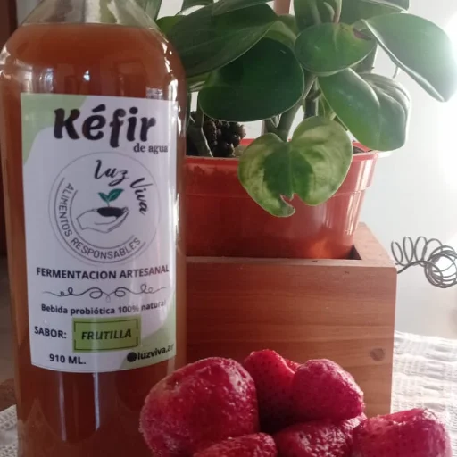 KEFIR DE FRUTILLA