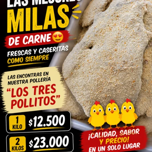 Milanesas de carne
