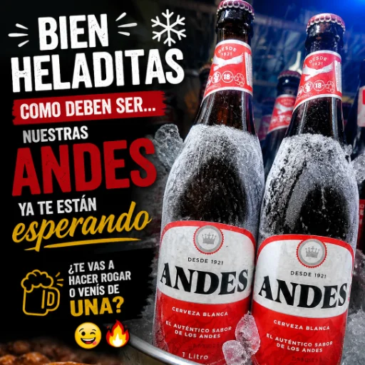 Bebidas (combos )