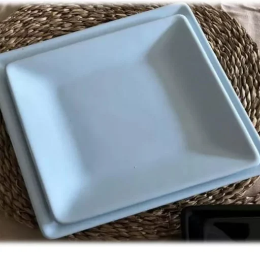 Platos - imagen 4