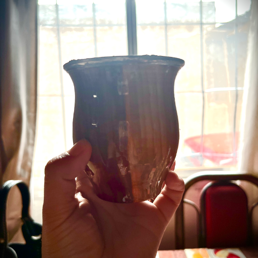 Mate camionero