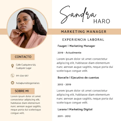 Diseño de Curriculum Vitae