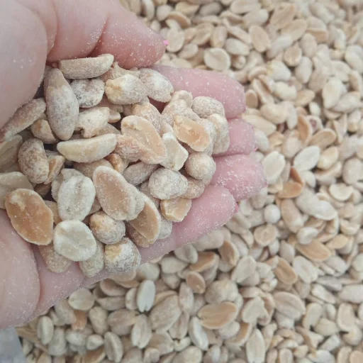 Maní Pelado s/Sal 500gr