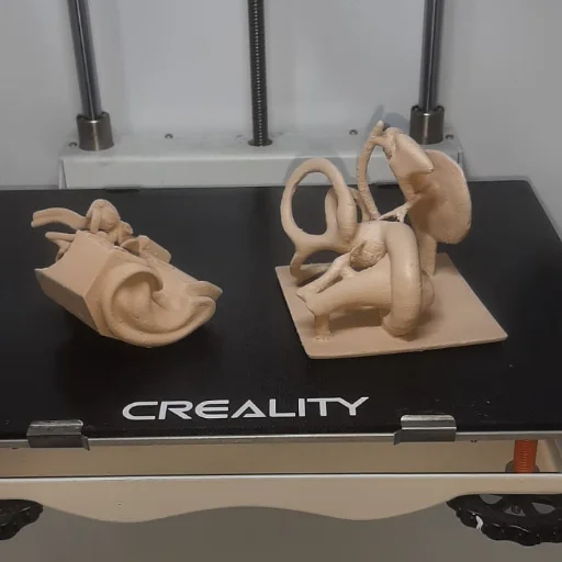 Fabricacion de partes del cuerpo humano en 3D