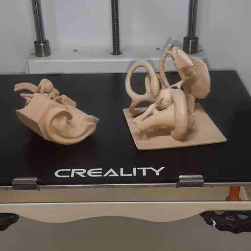 Fabricacion de partes del cuerpo humano en 3D