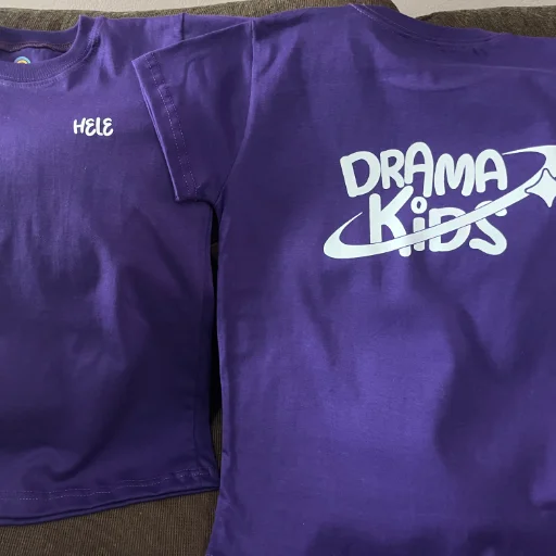 REMERAS BASICAS ESTAMPA DTF - imagen 16