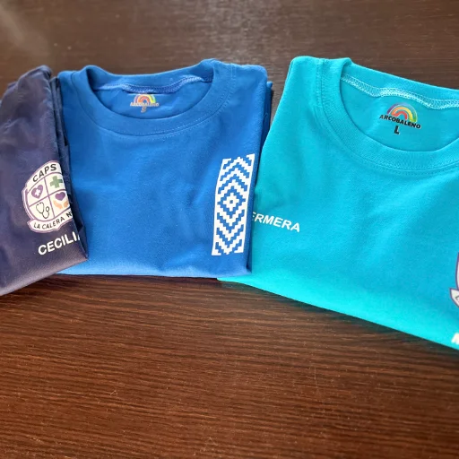 REMERAS BASICAS ESTAMPA DTF - imagen 21