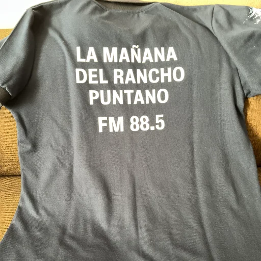REMERAS BASICAS ESTAMPA DTF - imagen 14
