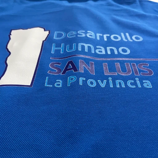 REMERAS BASICAS ESTAMPA DTF - imagen 13