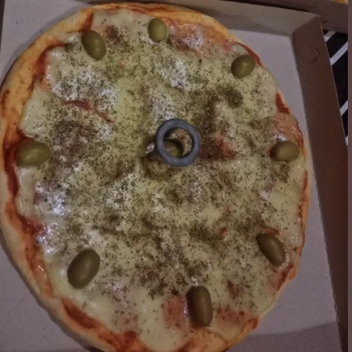 Pizzas,empanadas,hamburguesas,sanwich de milanesas - imagen 4