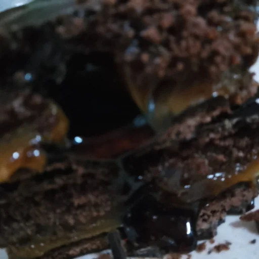 Alfajores Artesanales Punto Norte Premium (Esencia Puntana) x6 Unidades Surtidos
