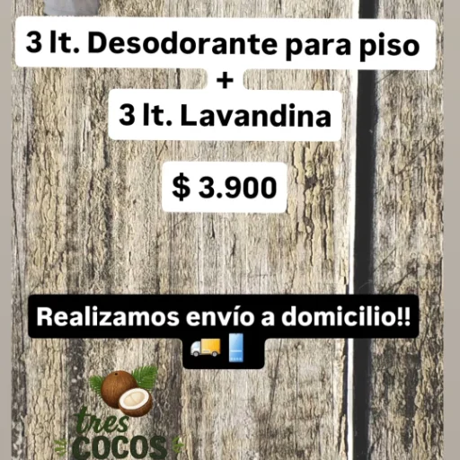 Combo Desodorante para piso + Lavandina