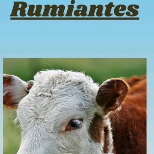 Balanceado para Rumiantes