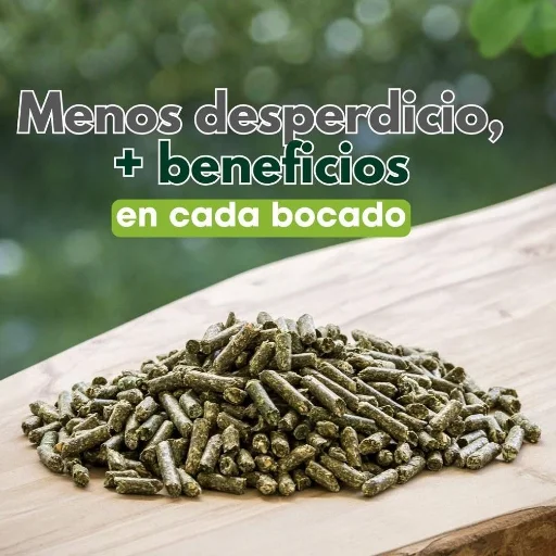 Pellet Alfalfa