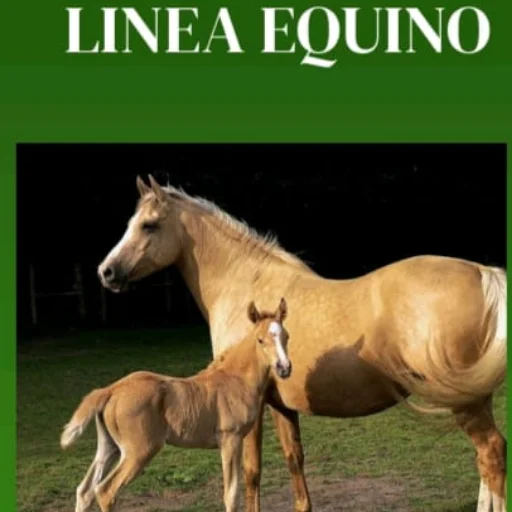Balanceado para Equino