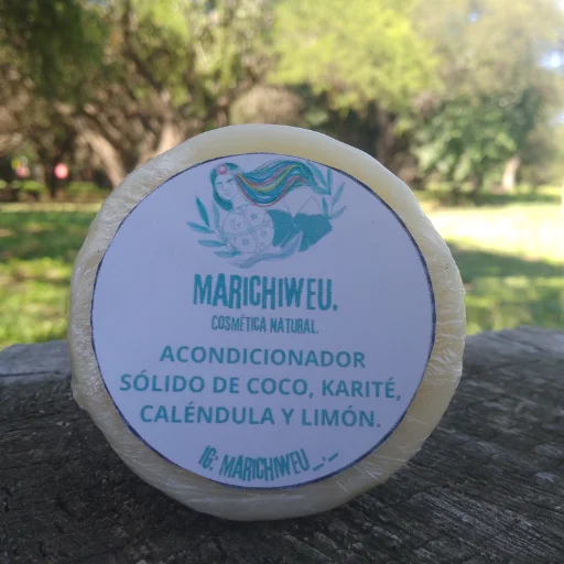 Shampoo y Acondicionador Sólidos.