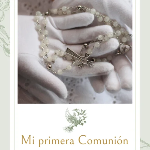 Servicio de Fotografia y video - imagen 10