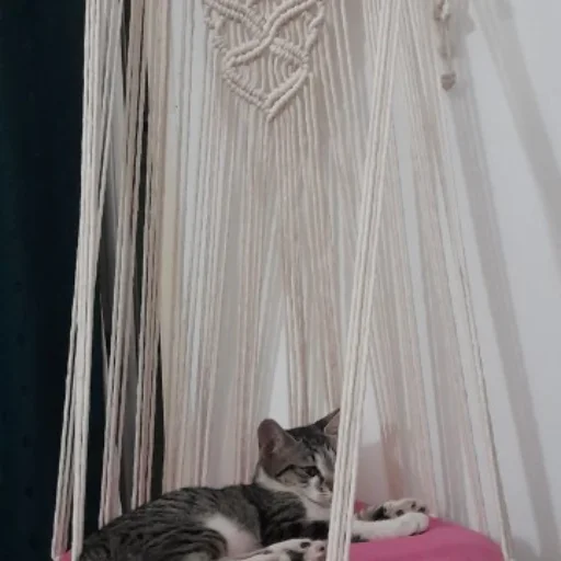 CAMA PARA GATOS - imagen 5