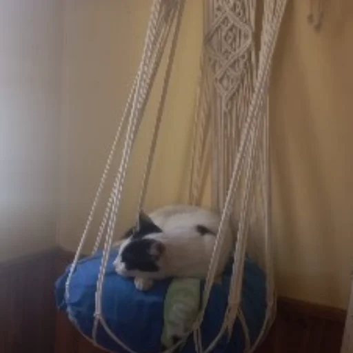 CAMA PARA GATOS - imagen 8