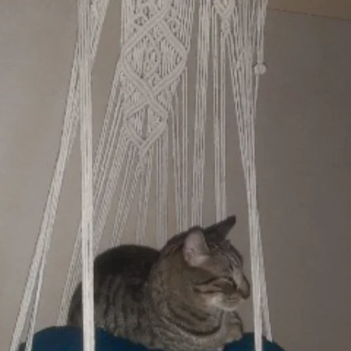 CAMA PARA GATOS - imagen 10