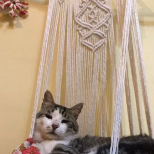 CAMA PARA GATOS
