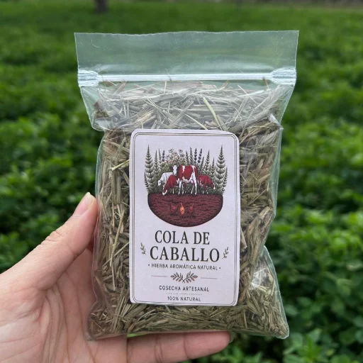Cola de caballo