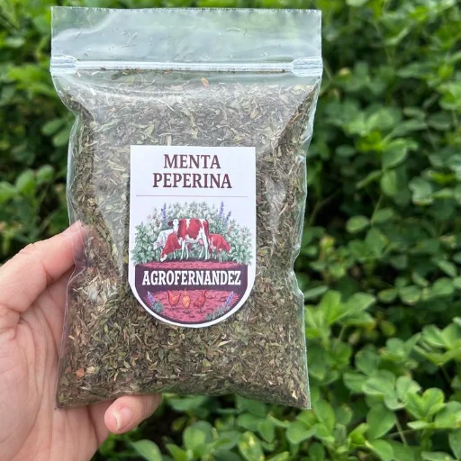 Menta peperina
