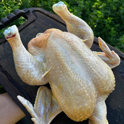 Pollos Pastoriles
